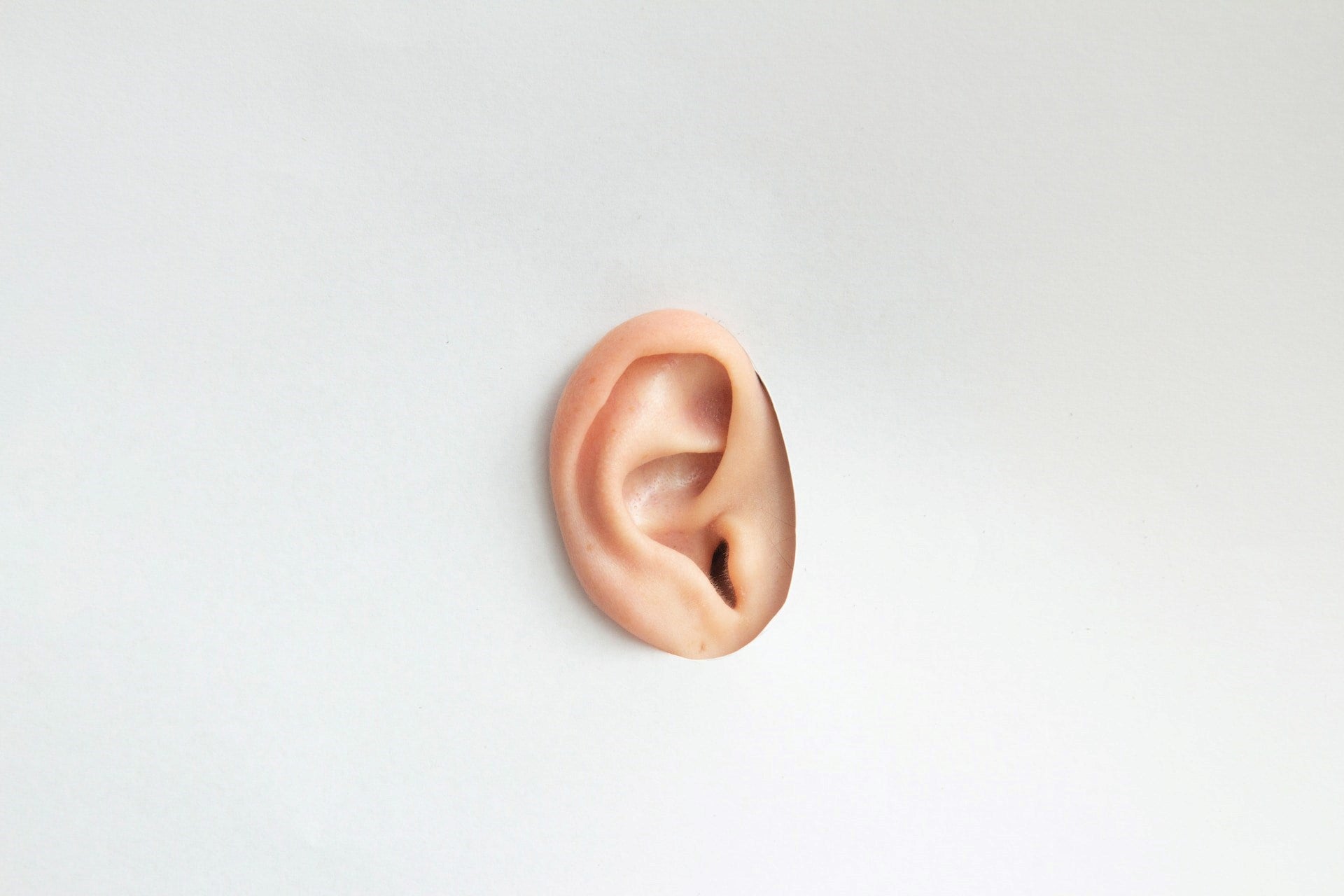a picture of an ear